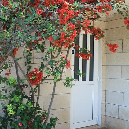 Sv.jakov 3* Dubrovnik