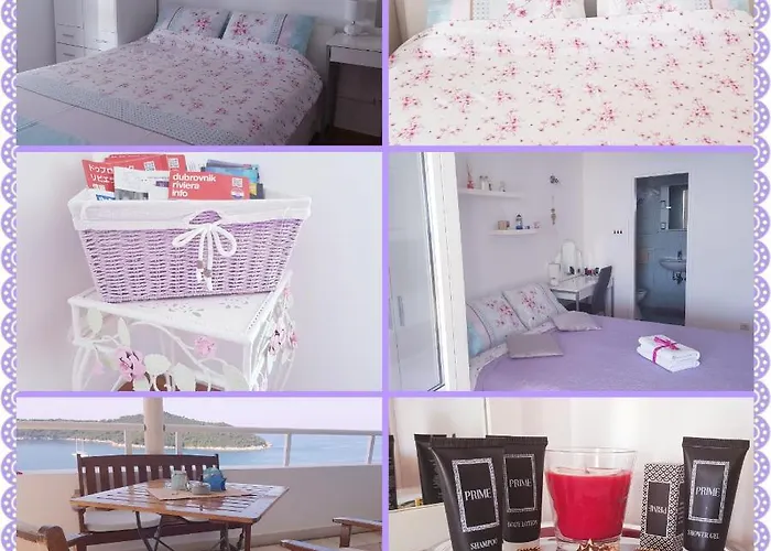 招待所 斯维耶可夫公寓