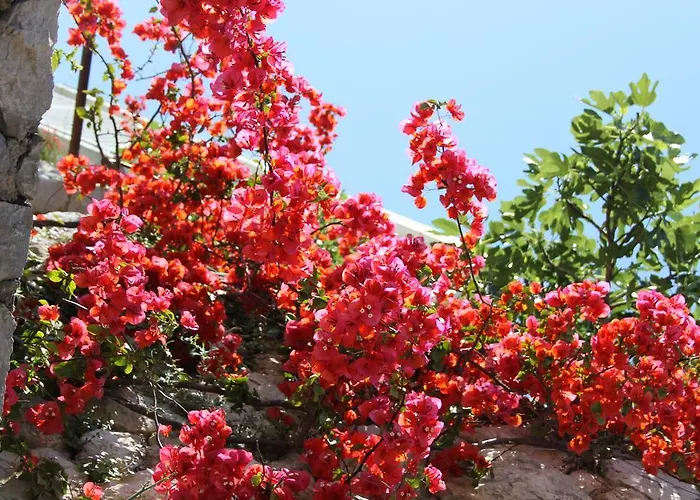 斯维耶可夫公寓