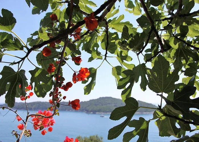 斯维耶可夫公寓 招待所