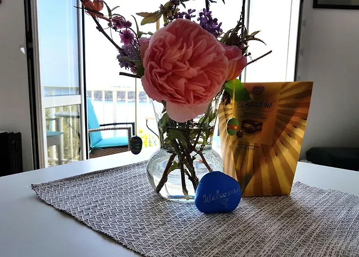 斯维耶可夫公寓 3*